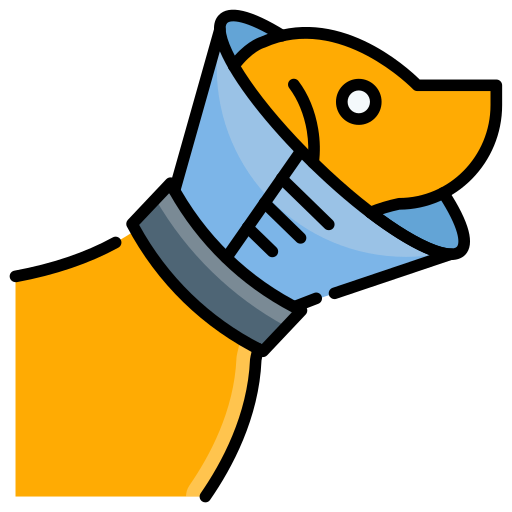 Safety Vest for pets