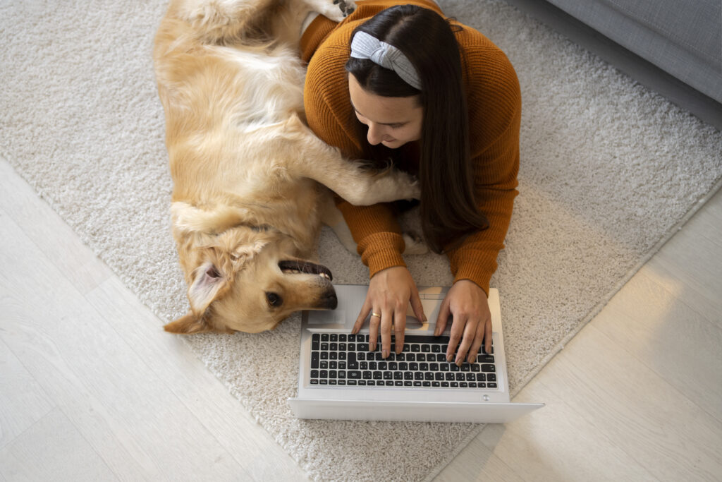 Cat curled up in its owner’s arms on the couch
